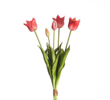 Real Touch Tulip Bundle x5 L45cm Beauty