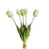 Real Touch Parrot Tulip x5 L40cm White/Green