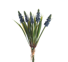 Muscari Bundle x5 L28cm Blue