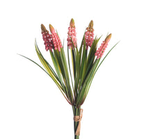 Muscari Bundle x5 L28cm Pink