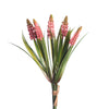 Muscari Bundle x5 L28cm Pink