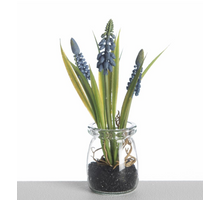 Muscari in glass H18cm blue