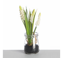 Muscari in Glass Pot L18cm White