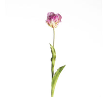 Real Touch Parrot Tulip L60cm Purple