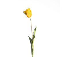 Real Touch Parrot Tulip L60cm Yellow