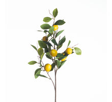 Lemon Branch L94cm Yellow