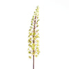 Eucomis Spray L87cm Green