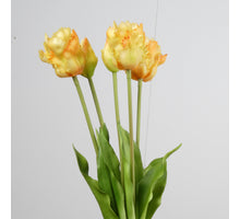 Real Touch Parrot Tulip x5 L40cm Yellow