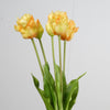 Real Touch Parrot Tulip x5 L40cm Yellow