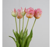 Real Touch Parrot Tulip x5 L40cm Pink