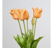 Real Touch Tulip Bundle x5 L45cm Peach