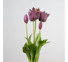 Real Touch Tulip Bundle x5 L45cm Eggplant