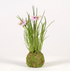 Viola on mossball H24cm pink