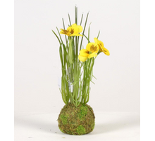 Viola on mossball H24cm yellow