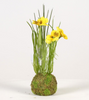 Viola on mossball H24cm yellow