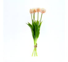Real Touch Tulip 'Peony' bundle x5 L43cm champagne