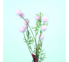 Platanus spray L82cm pink