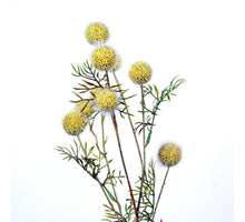 Platanus spray L82cm yellow