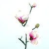 Magnolia L41cm pink