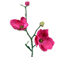 Magnolia L41cm fuchsia