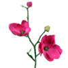 Magnolia L41cm fuchsia