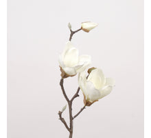Magnolia L41cm white