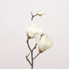 Magnolia L41cm white