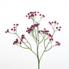 Gypsophila spray L62cm d.pink