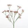Gypsophila spray L62cm l.pink