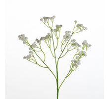 Gypsophila spray L62cm white