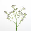 Gypsophila spray L62cm white