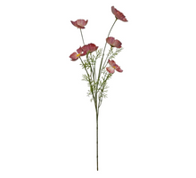 Papaver spray x6 L101cm d.pink