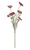 Papaver spray x6 L101cm d.pink