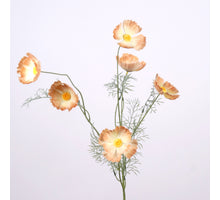Papaver spray x6 L101cm peach