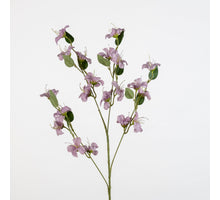 Blossom Meadow L87cm l.pink