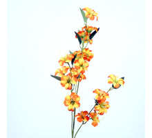 Blossom Meadow L87cm orange