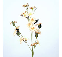 Blossom Meadow L87cm cream