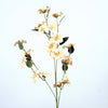 Blossom Meadow L87cm cream