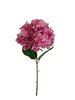 Hydrangea L65cm d.pink