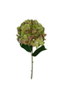 Hydrangea L65cm green