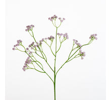 Gypsophila spray L62cm l.lilac