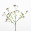 Gypsophila spray L62cm l.lilac