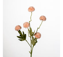 Gompy spray x5 L51cm peach