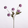 Gompy spray x5 L51cm lilac