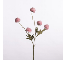 Gompy spray x5 L51cm pink