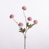 Gompy spray x5 L51cm pink