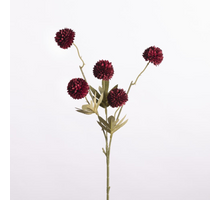 Gompy spray x5 L51cm d.red