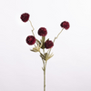 Gompy spray x5 L51cm d.red