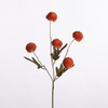 Gompy spray x5 L51cm orange
