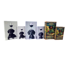 Books set/2 24x16x5cm wine 3 assortie